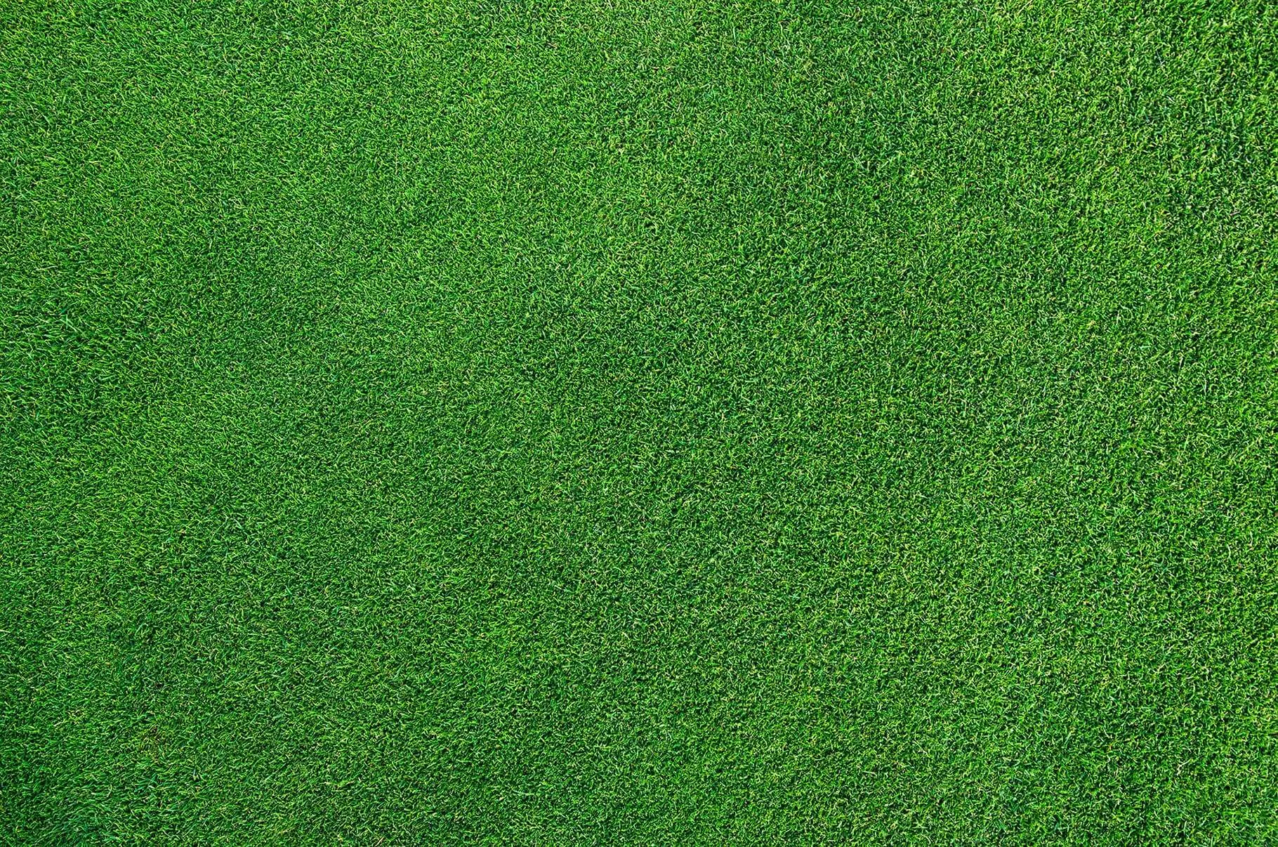 grass background