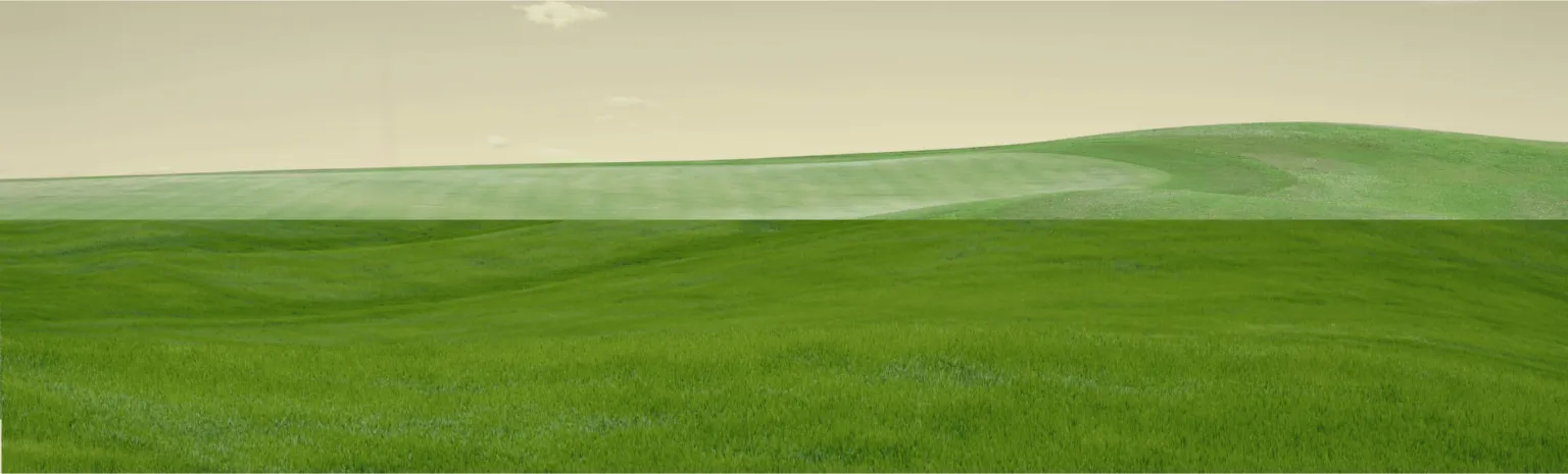 banner background