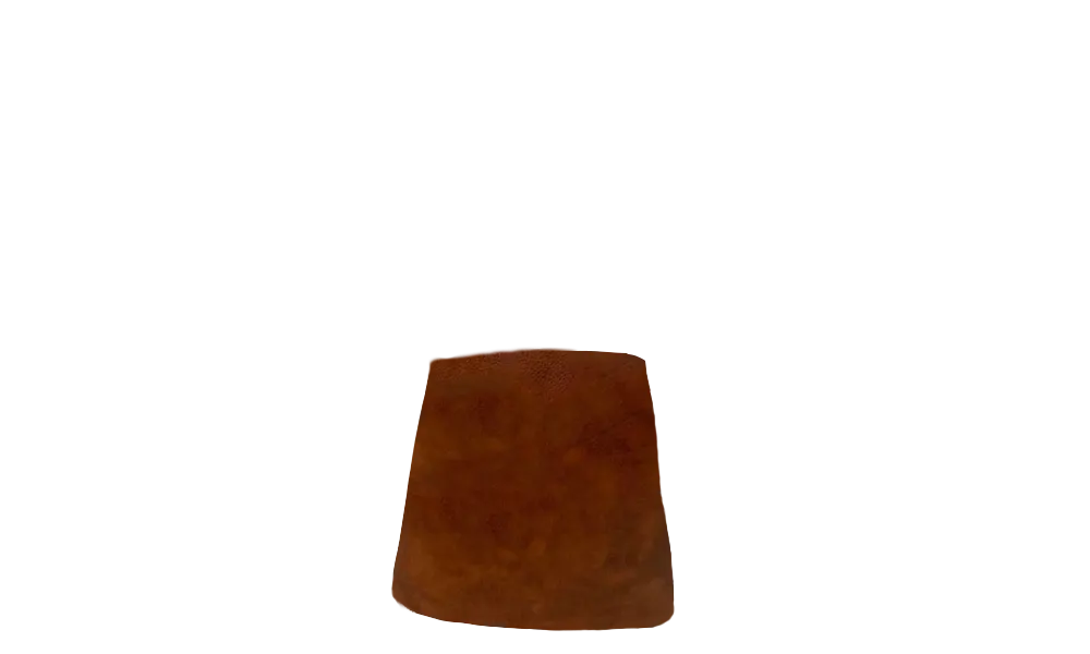 Brown (DL)