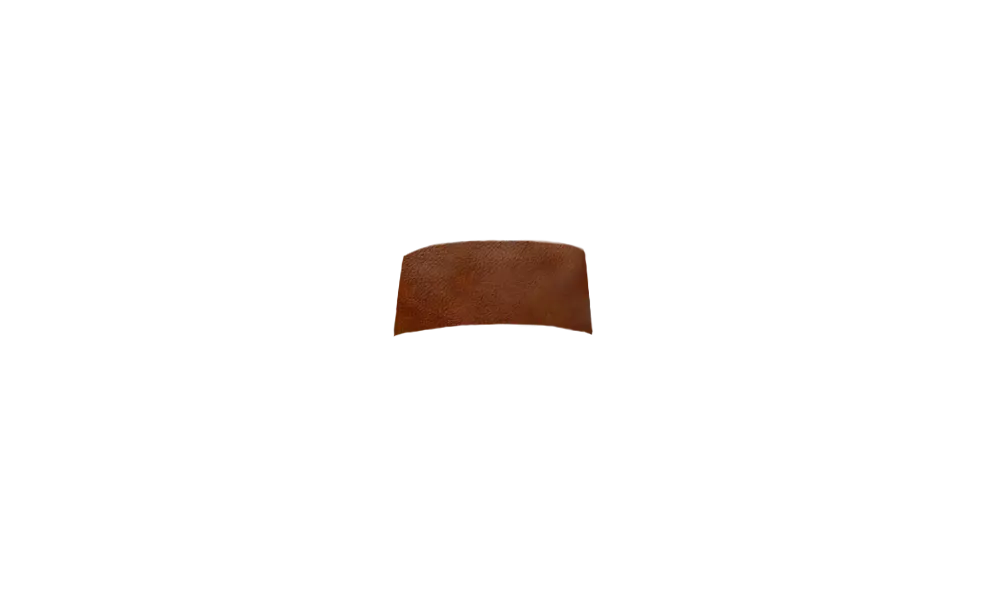 Brown (DL)