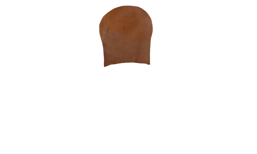Brown (DL)
